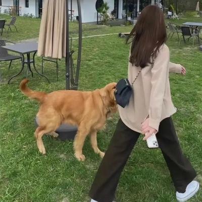 我太太是高中生